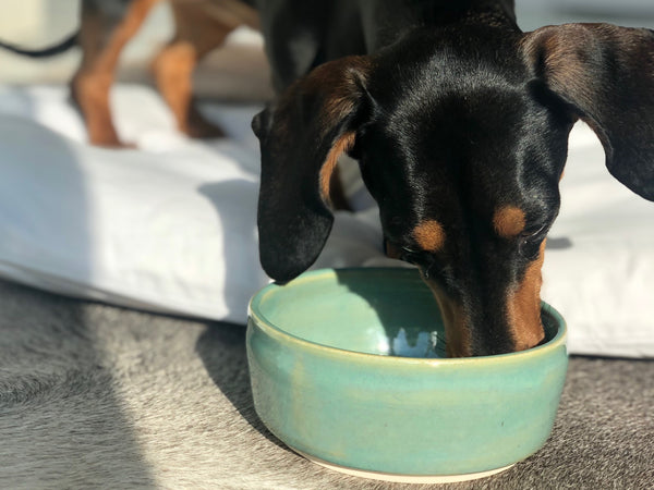 MADE TO ORDER - Ziggy Bowl